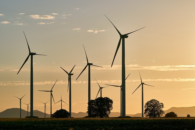 Vindskedekapsel: En bæredygtig løsning på vindenergiens intermittent problem